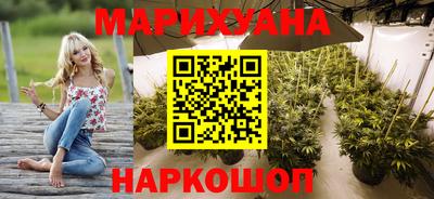 стафф Кингисепп
