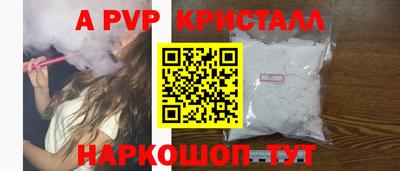 стафф Кингисепп