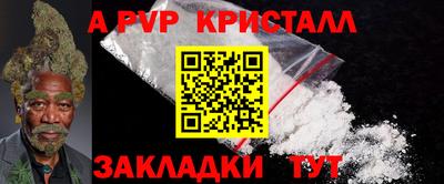 стаф Кинель