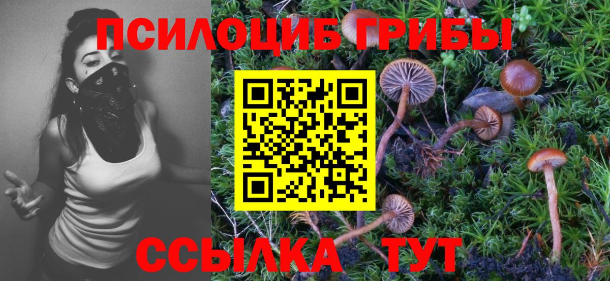 Псилоцибиновые грибы GOLDEN TEACHER  Вход с VPN  Коммунар 